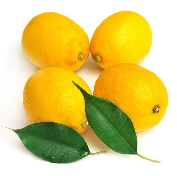 Lemon and leaf — Stock Photo, Image