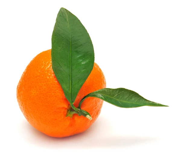 Mandarina y hoja — Foto de Stock