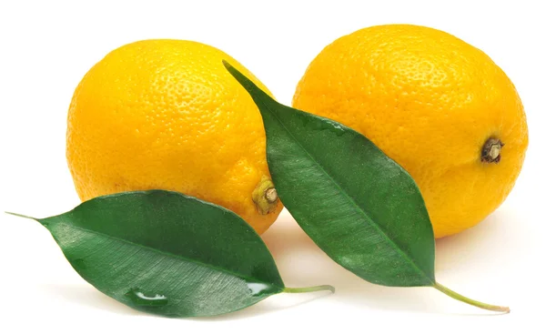 Lemon and leaf — Stock Photo, Image