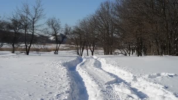 Paisagem inverno — Vídeo de Stock