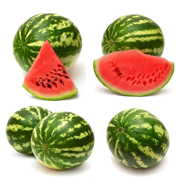 Kolekce meloun — Stock fotografie