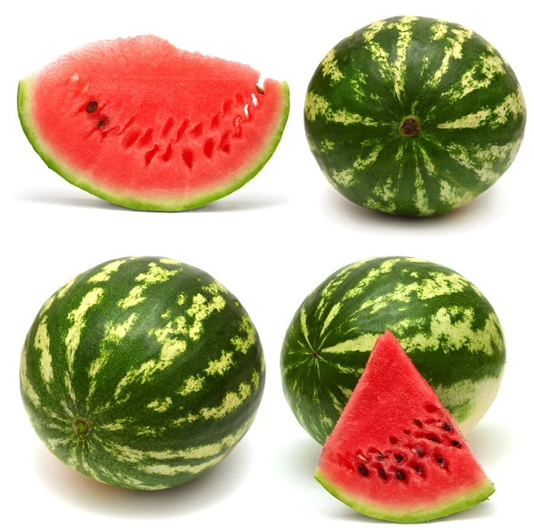 Kolekce meloun — Stock fotografie