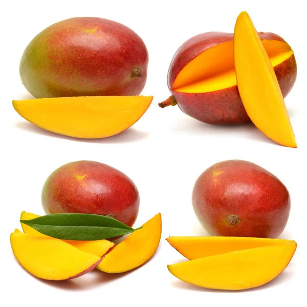 Collectie van mango — Stockfoto