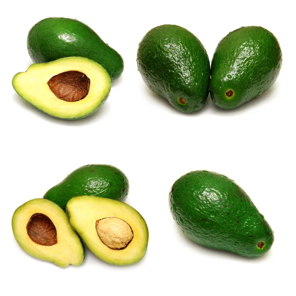 Collezione Avocado — Foto Stock