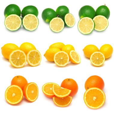 koleksiyon, limon, limon ve portakal