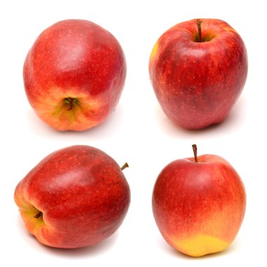 Kırmızı elma toplama 