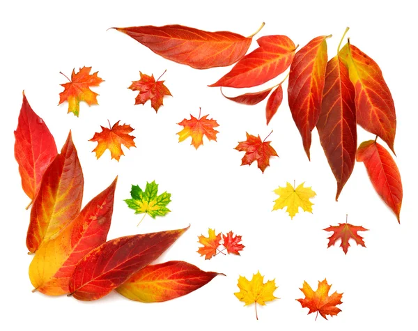 Herbstkarte — Stockfoto