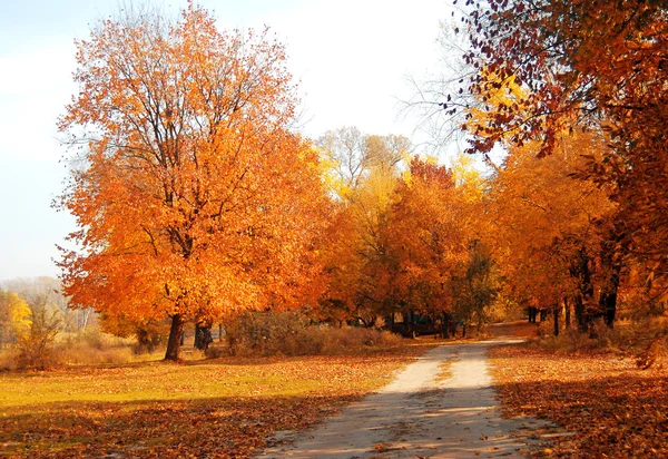 Paesaggio d'autunno — Foto Stock