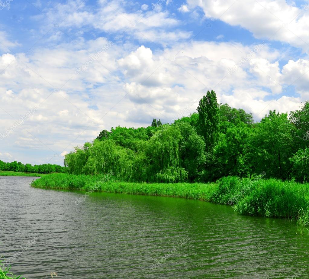 The river, trees against the blue sky