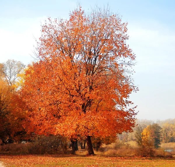 Herbstliche Landschaft — Stockfoto