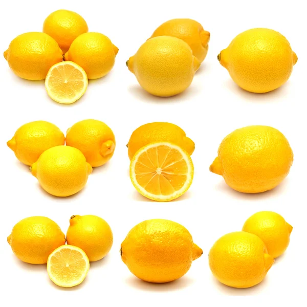 Colección de limones — Foto de Stock