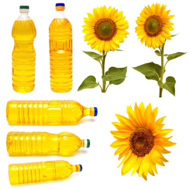 Ayçiçeği ve ayçiçek yağı şişeleri