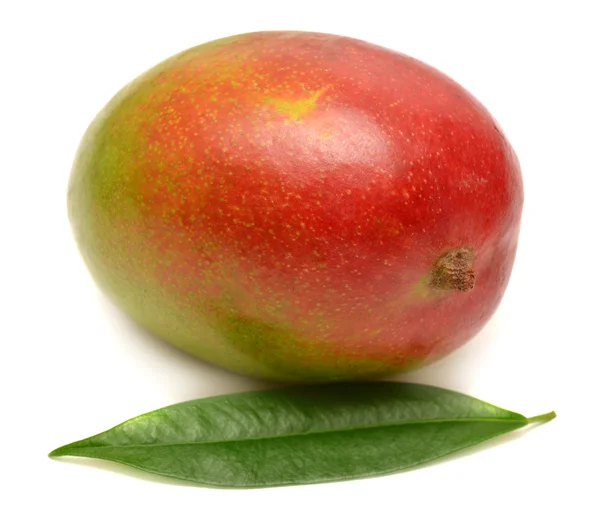 Mango met blad — Stockfoto