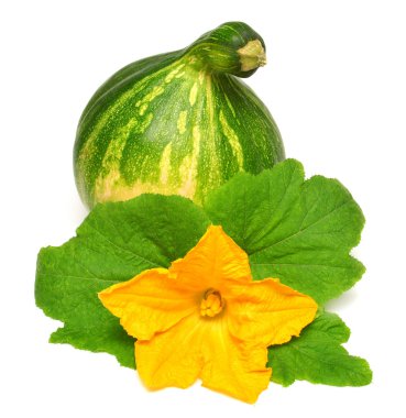 yaprakları ile squash