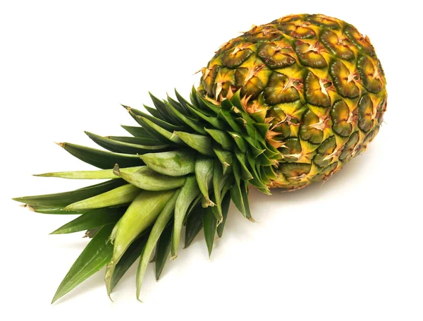 Ananas ovoce — Stock fotografie