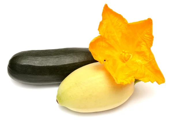Zucchini with flower — Stock Photo, Image
