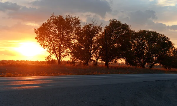 Asphalt road over Sunset — Stock Photo, Image