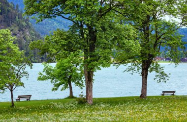 Achensee yaz peyzaj (Avusturya).