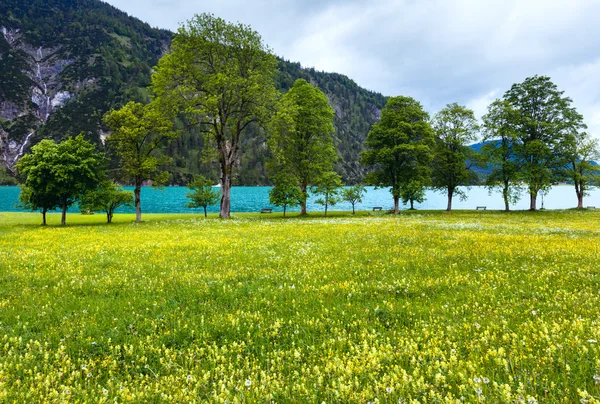 Paysage d'été Achensee (Autriche ). — Photo