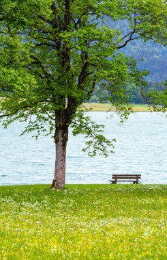 Achensee yaz peyzaj (Avusturya).