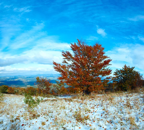 First winter snow and autumn colourful foliage on mountain — Stock Photo, Image