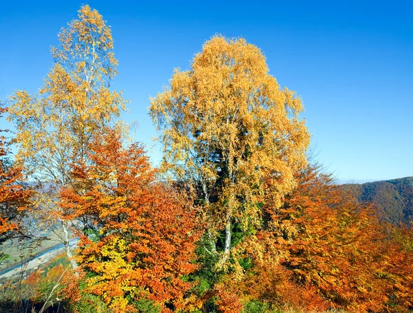 Autumn mountain Nimchich pass — Stock Photo, Image
