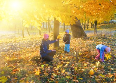 Sonbaharda akçaağaç Park aile