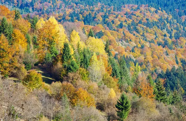 Outono floresta montanhosa — Fotografia de Stock