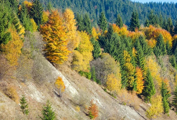 Forêt de montagne d'automne — Photo