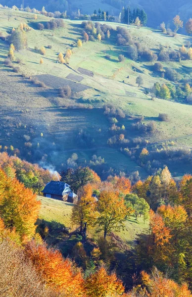 Осенняя горная деревня (Карпаты, Украина) ). — стоковое фото