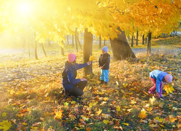 가 단풍나무 공원에서 가족 — 스톡 사진