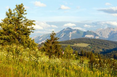 Yaz dağ akşam ülke görünümü