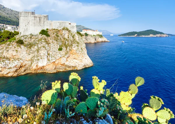 Dubrovnik oude stad (Kroatië) — Stockfoto