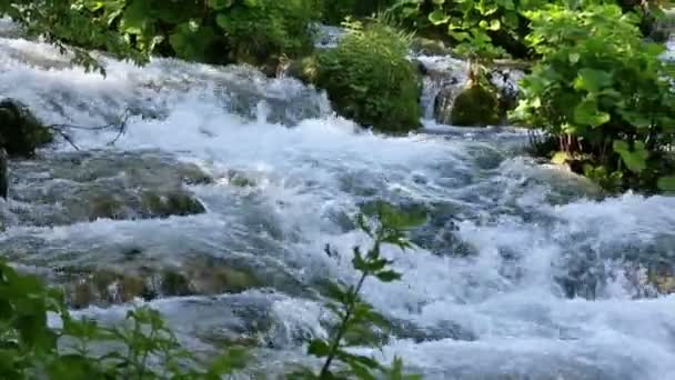 Summer mountain river — Stok Video