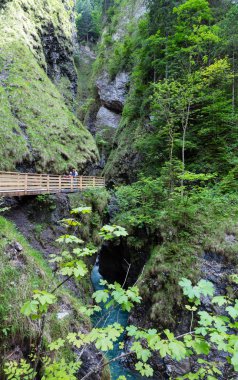 Aile ve Liechtensteinklamm gorge (Avusturya)