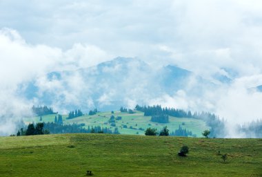 Yaz dağ ülke görünümü