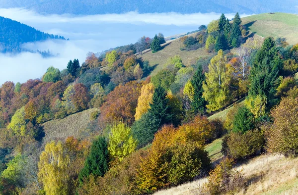 Foresta montana autunnale — Foto Stock