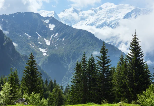 Masywu Mont Blanc (widok od obrzeżach Plaine Joux) — Zdjęcie stockowe