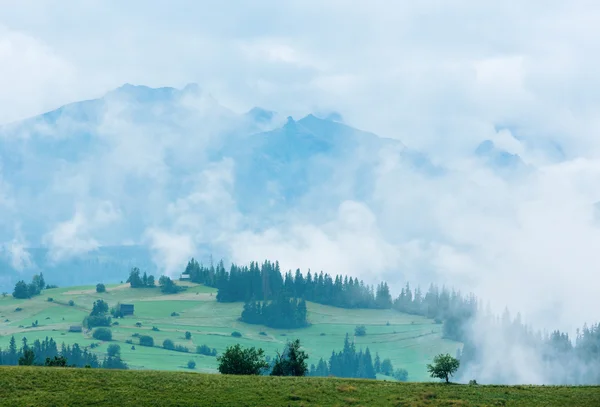 Zomer land uitzicht op de mistige bergen — Stockfoto