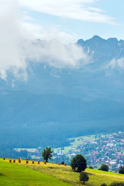 Sommer neblig Berglandschaft Blick — Stockfoto