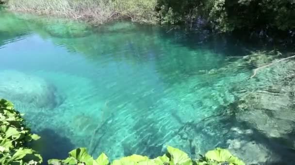 Yaz masmavi berrak şeffaf Gölü (plitvice, Hırvatistan) — Stok video