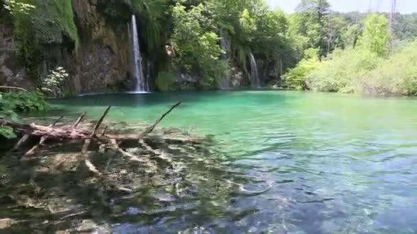 Hermosa cascada y pequeño lago transparente puro — Vídeo de stock