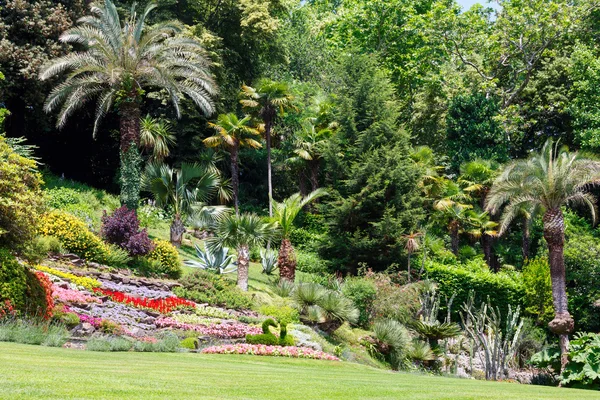 Hermoso parque de verano . —  Fotos de Stock