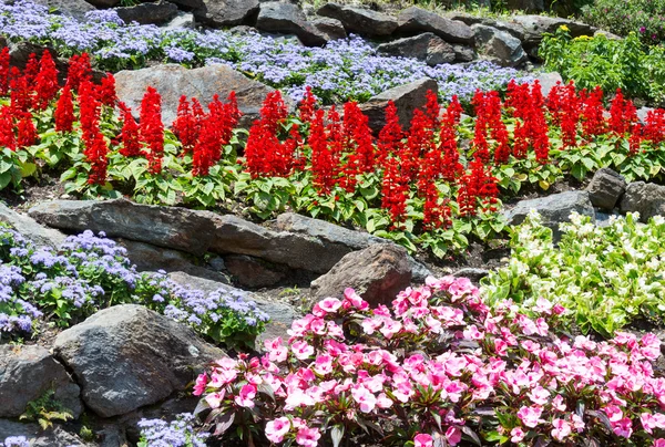 Paisagismo de flores — Fotografia de Stock