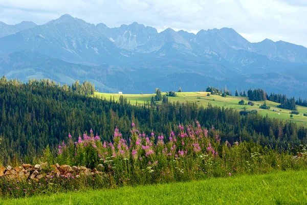 Estate vista montagna paese — Foto Stock