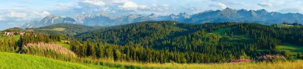 Yaz dağ ülke panorama.