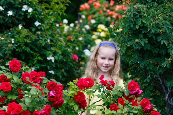 Portret meisje en rozenstruiken — Stockfoto