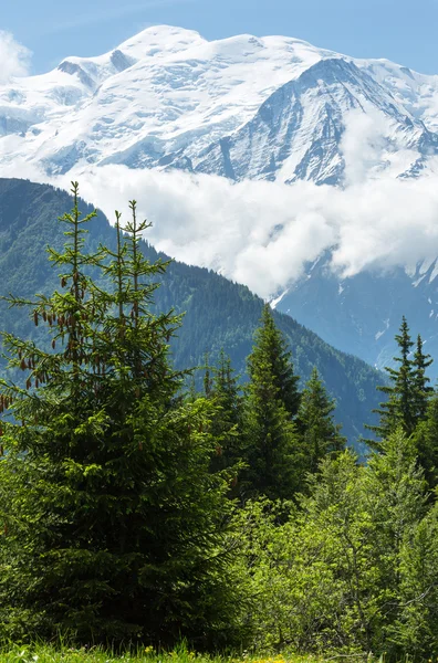 Mont Blanc macizo de montaña (vista desde las afueras de Plaine Joux ) — Foto de Stock