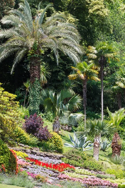 Güzel yaz park. — Stok fotoğraf