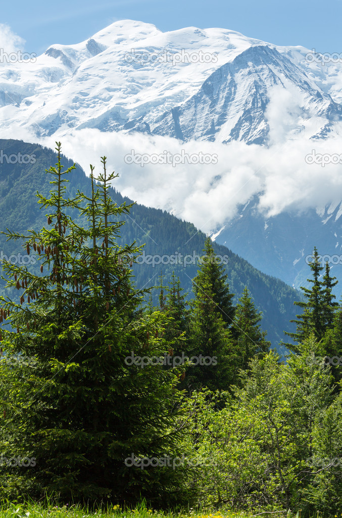 Mont Blanc mountain massif (view from Plaine Joux outskirts)